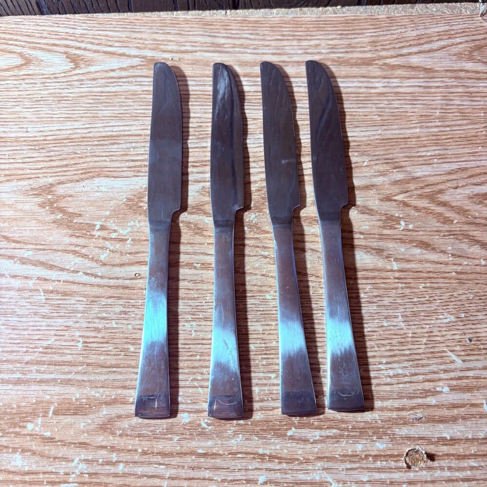 Pfaltzgraff Everyday Stainless Steel Set of 4 Dinner Knives